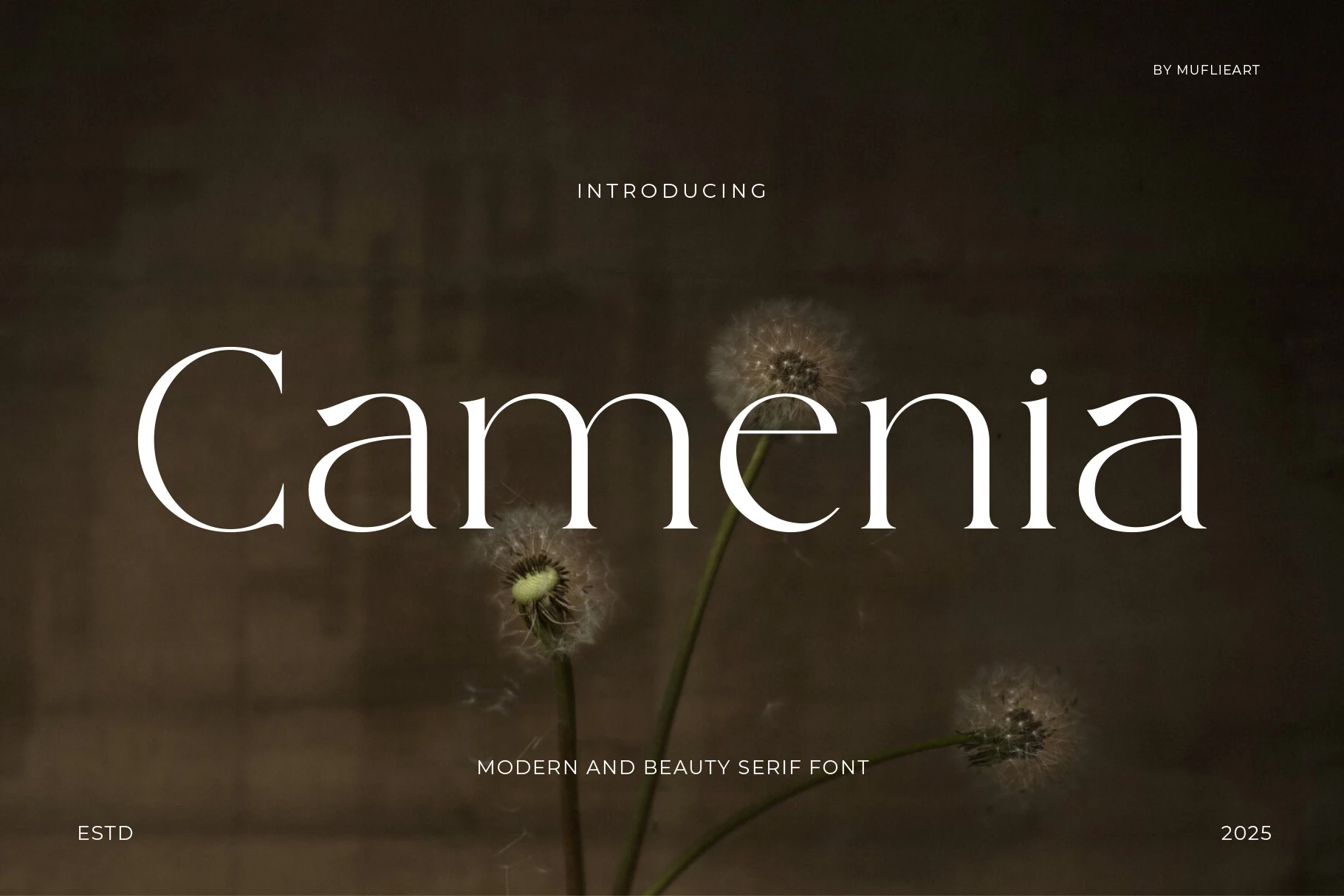 Camenia Font preview with elegant high-contrast serif lettering and soft curved terminals