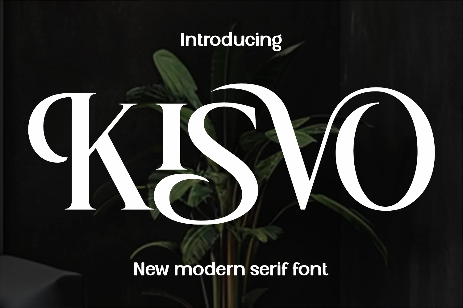 Kisvo Font preview with high-contrast modern serif letters and sweeping curved strokes
