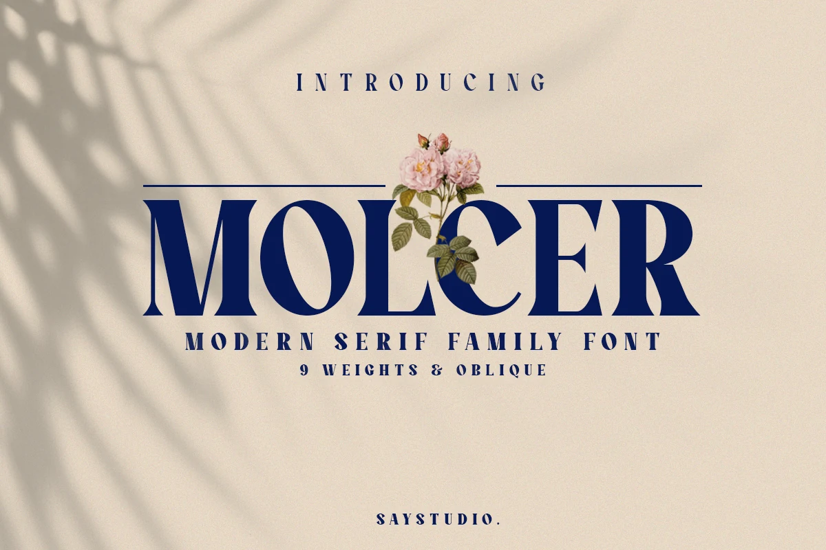 Molcer Font preview with bold navy modern serif lettering, high contrast, and sharp cuts