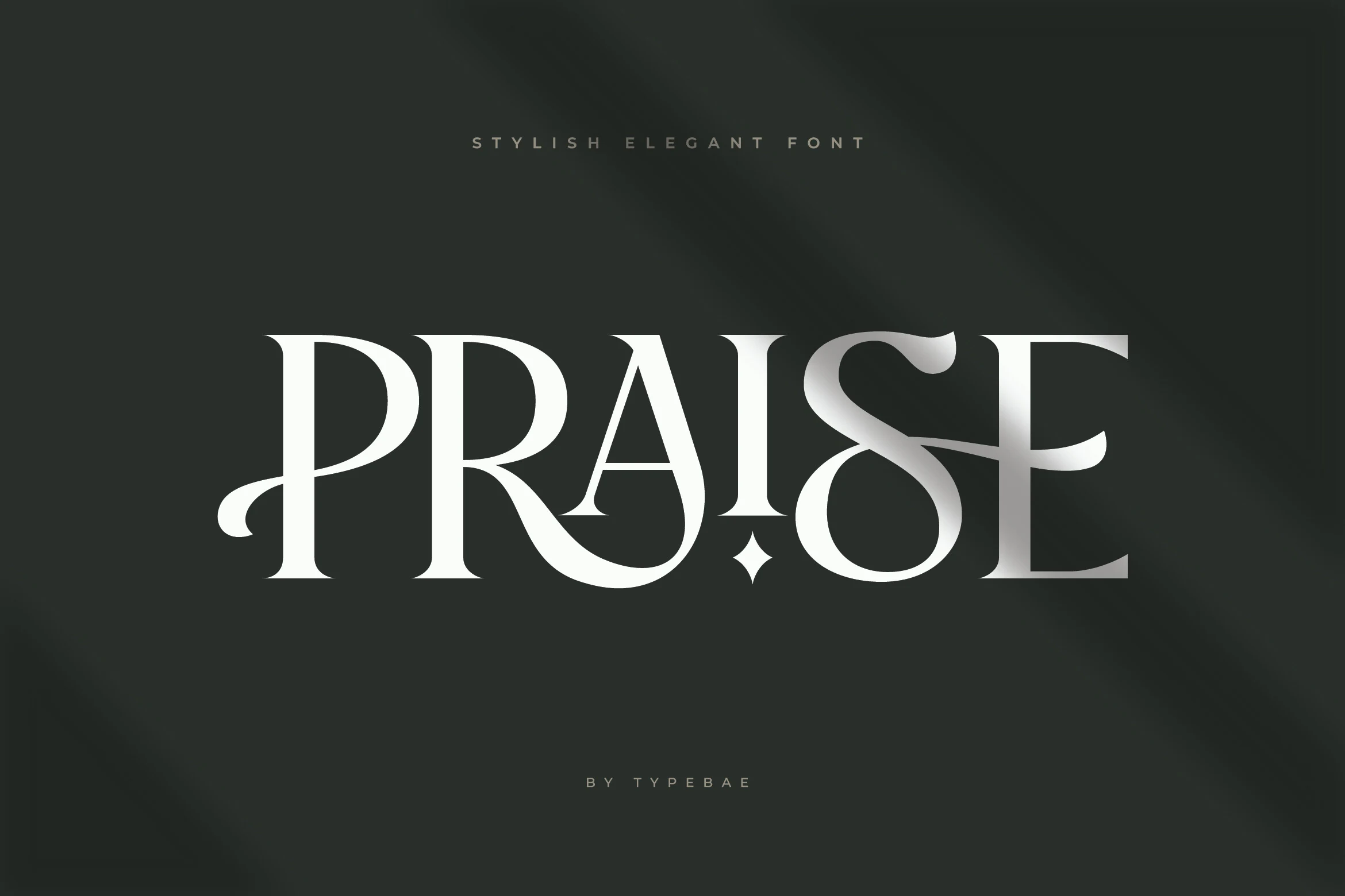 Praise Font preview with silver high-contrast serif lettering and elegant sweeping curves