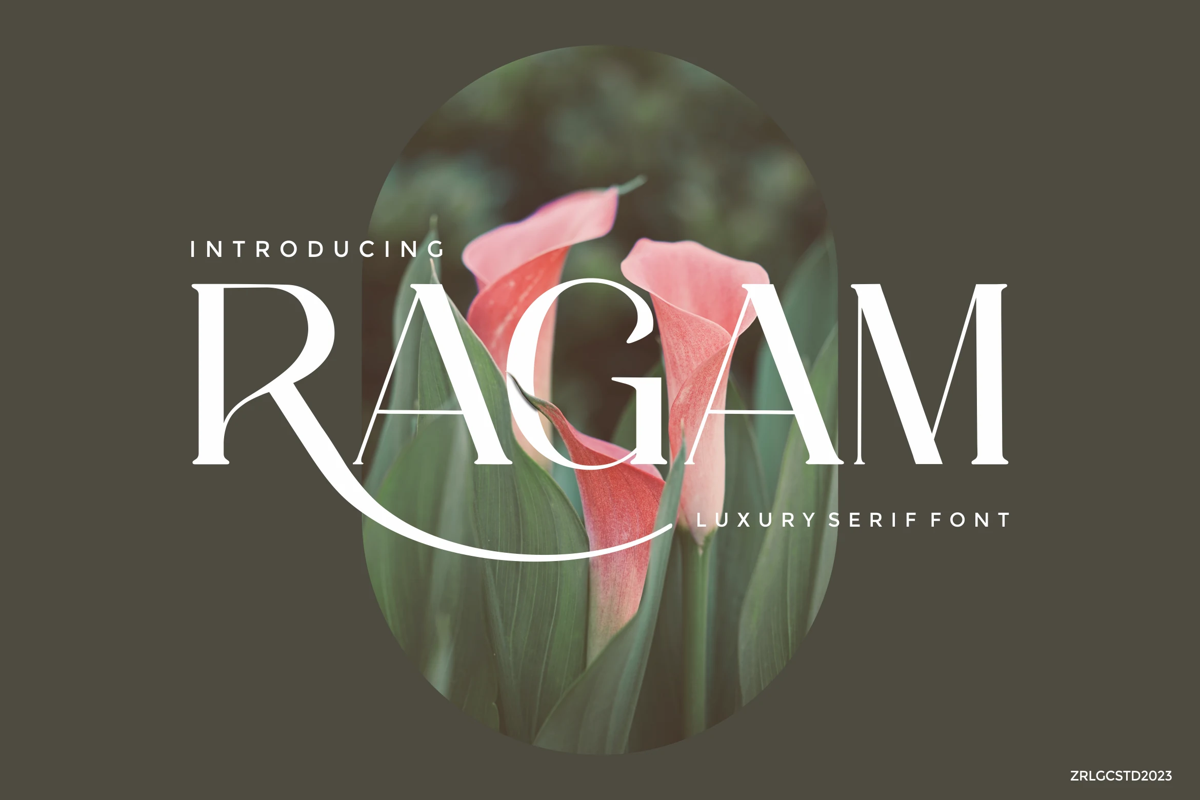 Ragam Luxury Font preview with elegant white serif lettering and long swash curves
