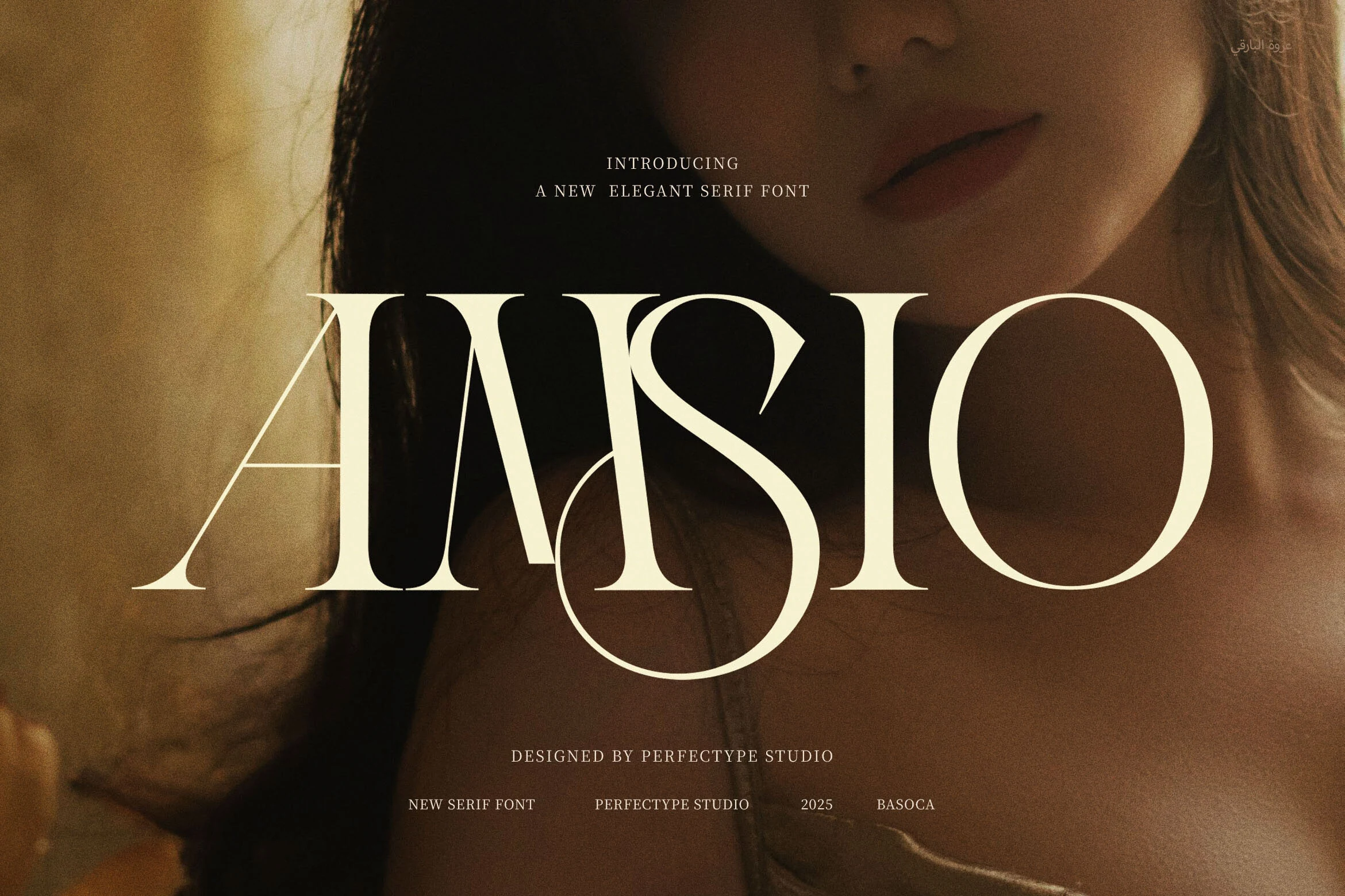 Amsio Elegant Serif Font preview with high-contrast lettering and sharp thin curves