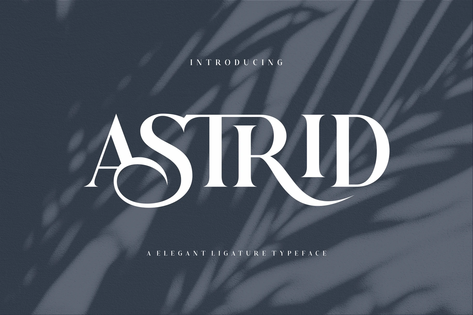 Astrid Font preview with white high-contrast serif lettering and sweeping decorative connections