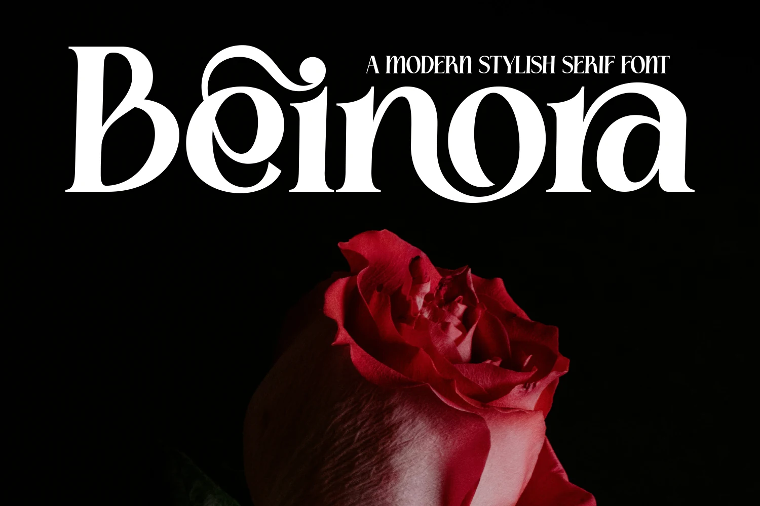 Beinora Font preview with white high-contrast serif lettering and a curled flourish
