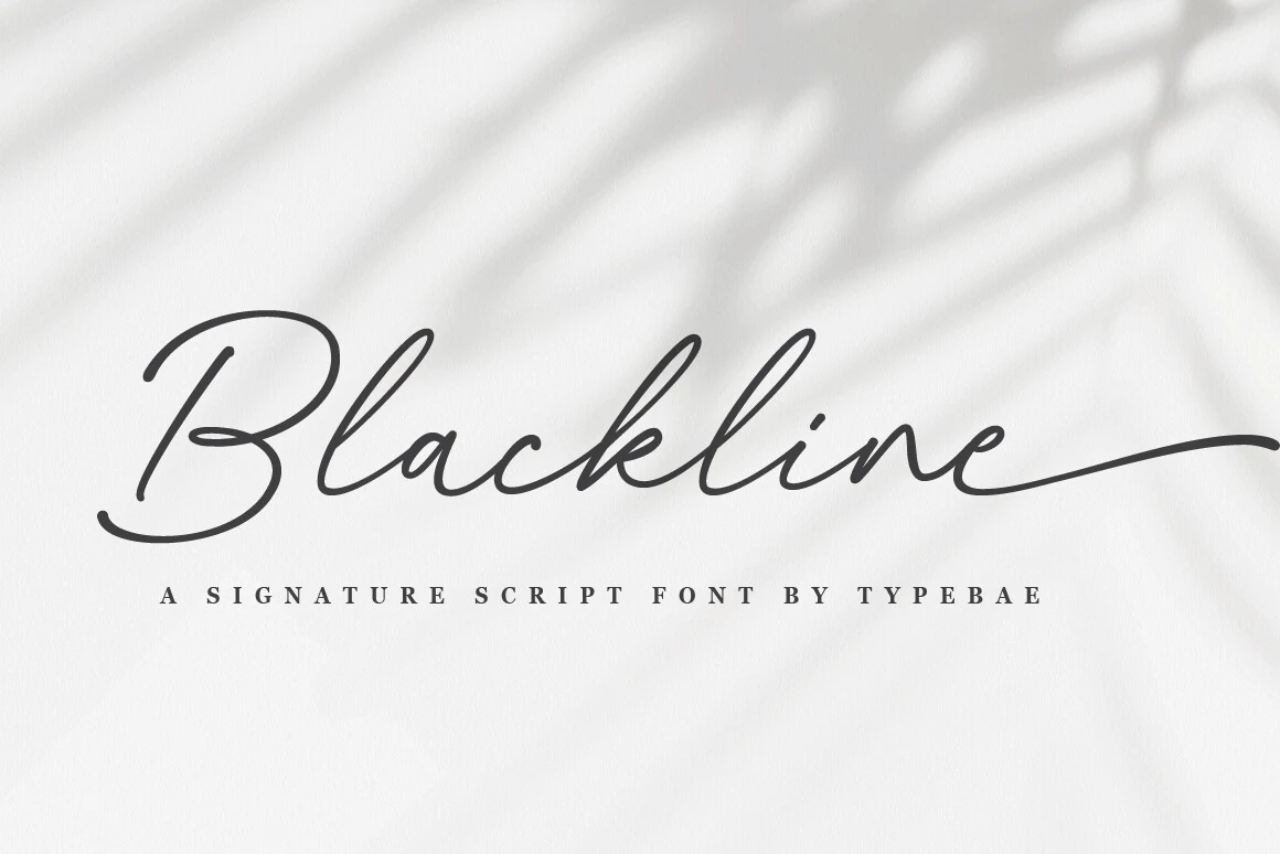 Blackline Font preview in smooth dark gray signature script with a looping B and long finishing swash
