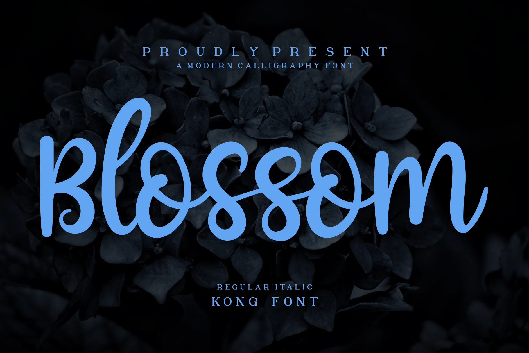 Blossom Font preview in bright blue playful handwritten script with thick rounded strokes and looping letters