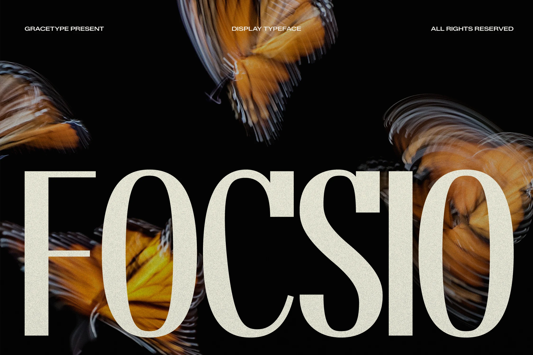 Focsio Font preview with tall condensed serif lettering and bold cream capitals