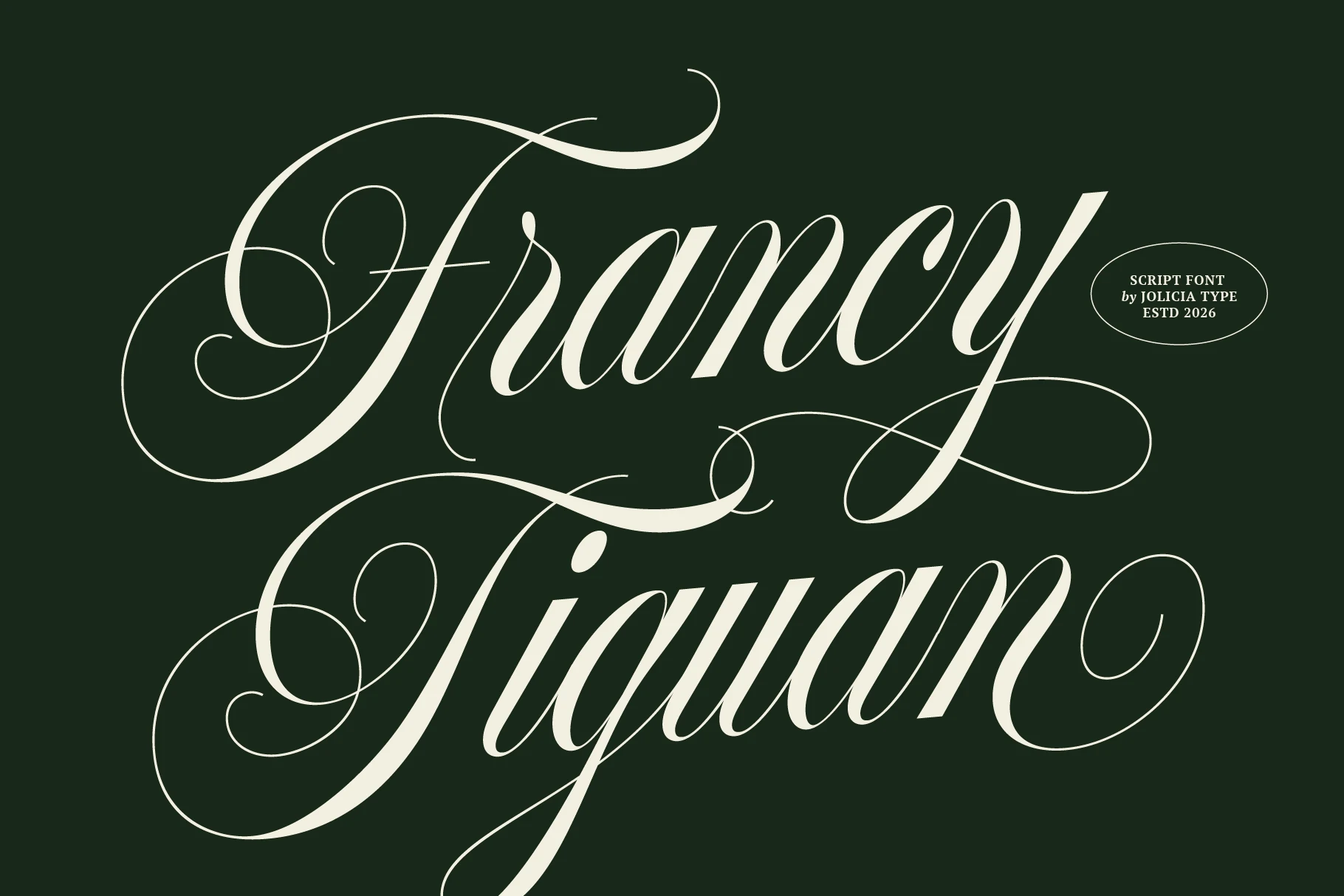Francy Tiguan Font preview in elegant high-contrast script with long looping swashes