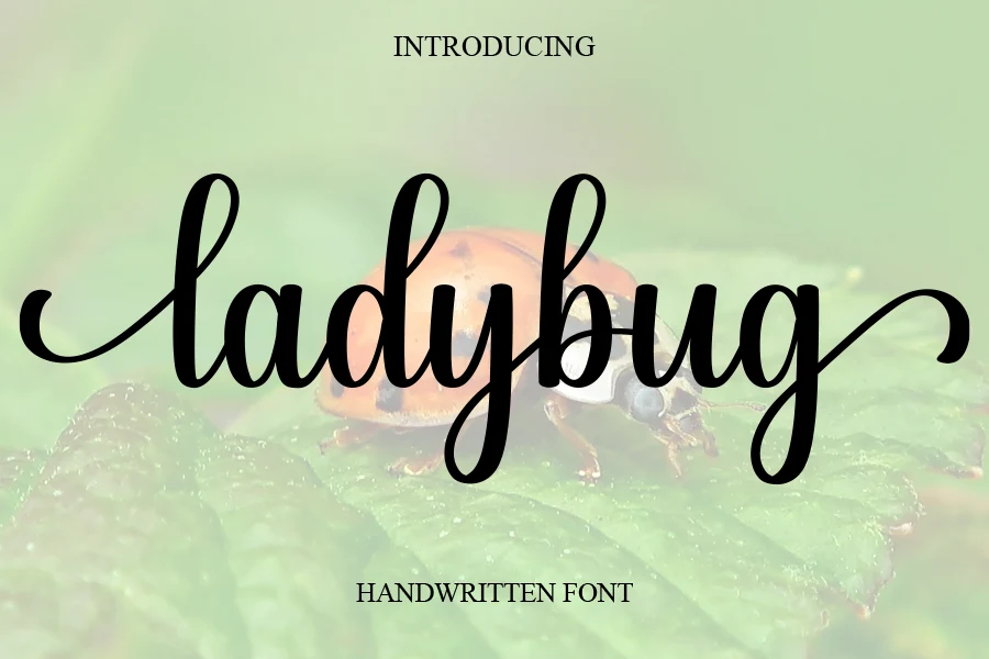 Ladybug Font preview in bold black cursive script with tall loops and rounded strokes
