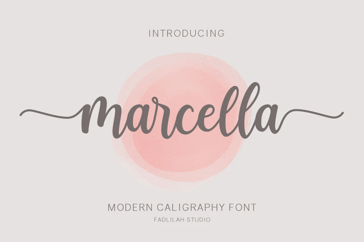 Marcella Font preview with gray modern calligraphy lettering, thick downstrokes, and long swashes