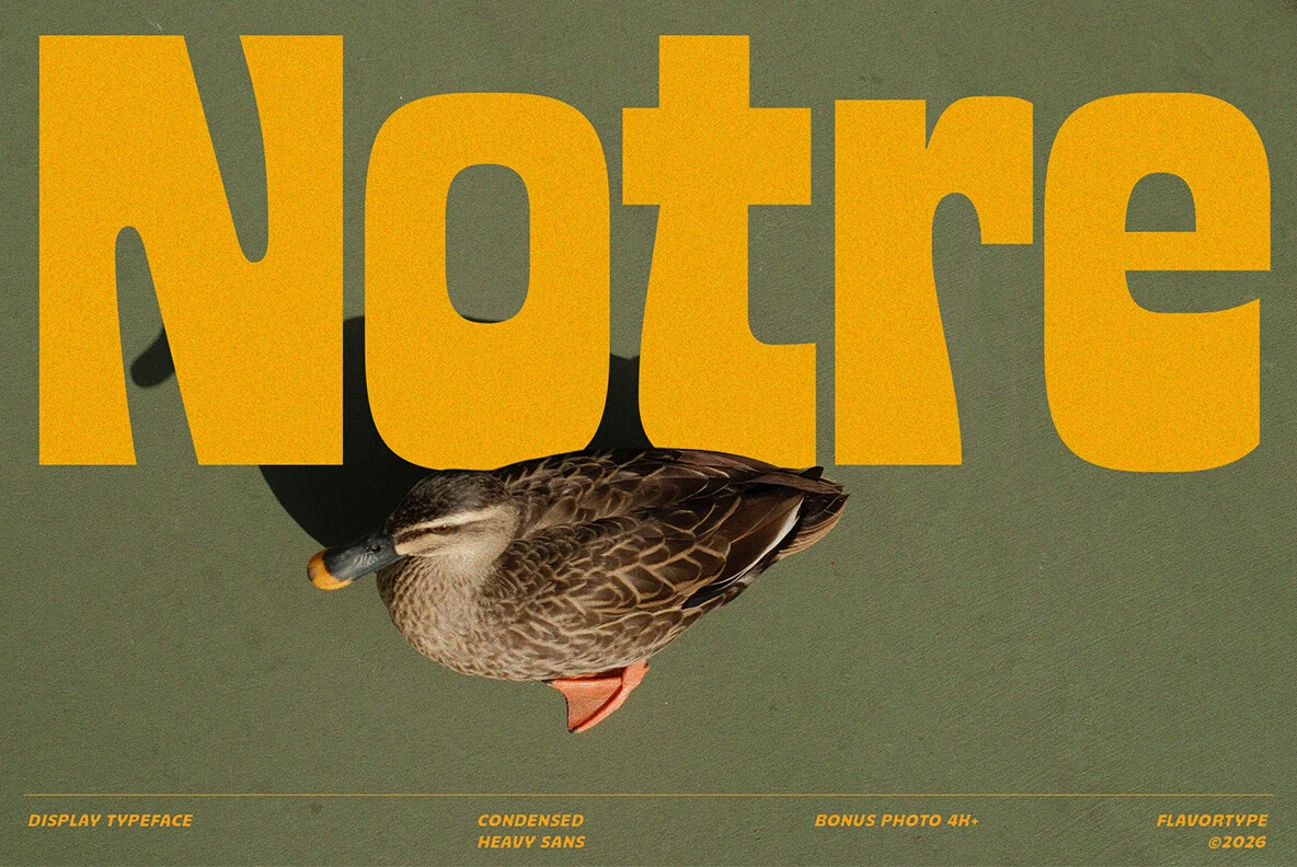 Notre Font preview with oversized condensed orange sans lettering and heavy rounded forms