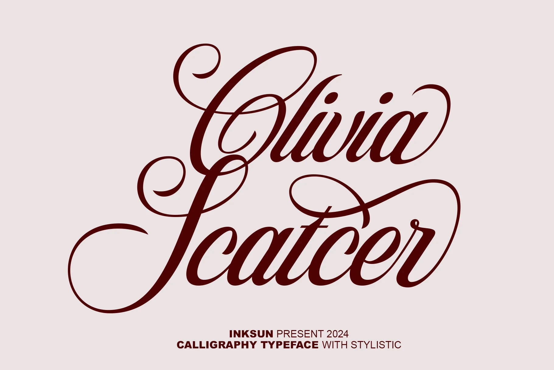 Olivia Scatcer Font preview in dark red high-contrast calligraphy with elaborate swashes