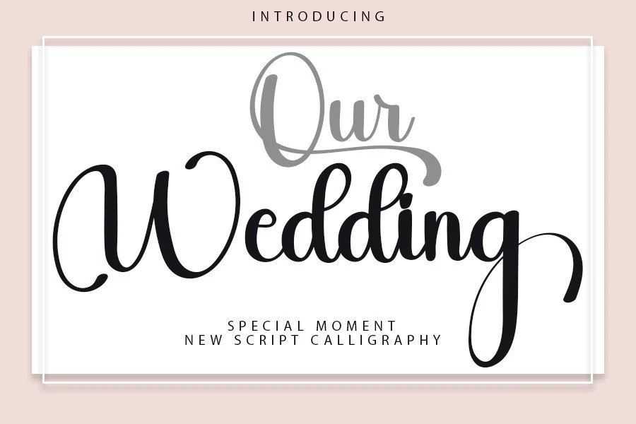 Our Wedding Font preview with black and gray script lettering, smooth curves, and long descenders