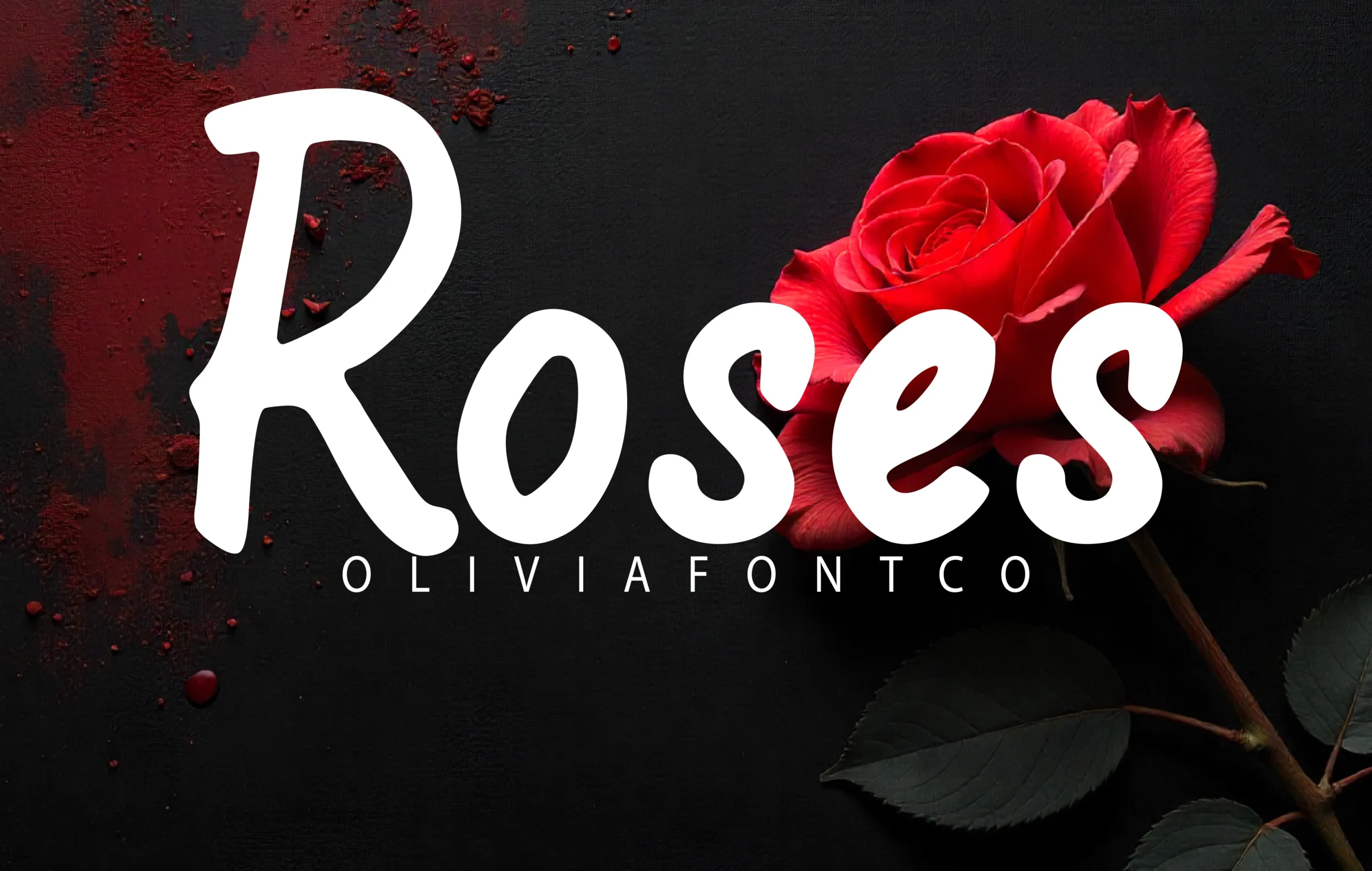 Roses Font bold white handwritten script with rounded curves for logo design