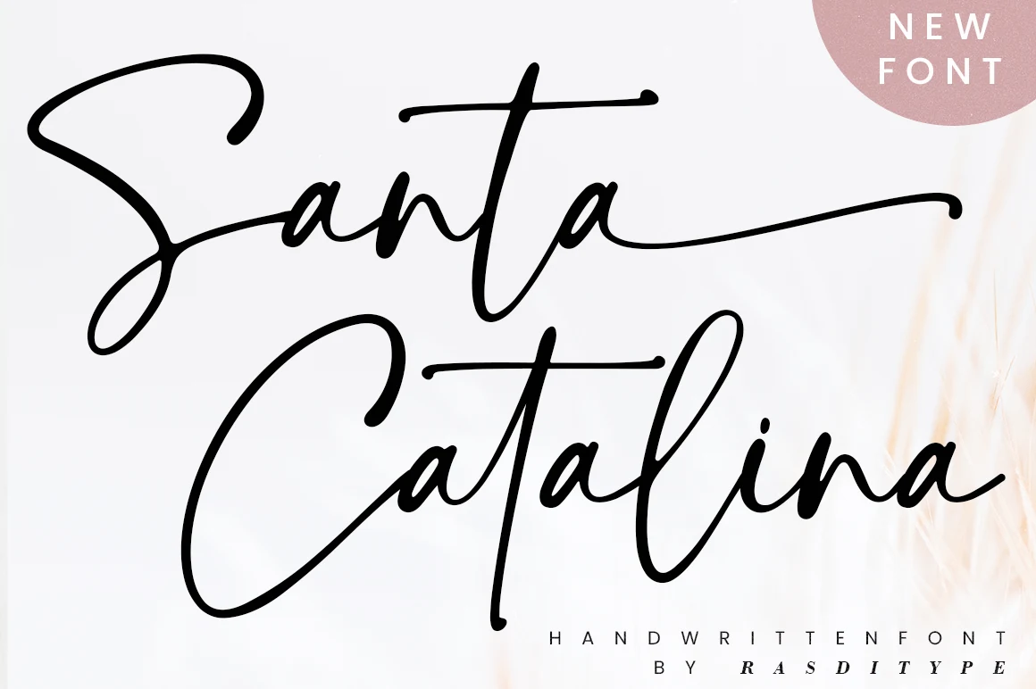 Santa Catalina Font preview in black handwritten script with long sweeping swashes
