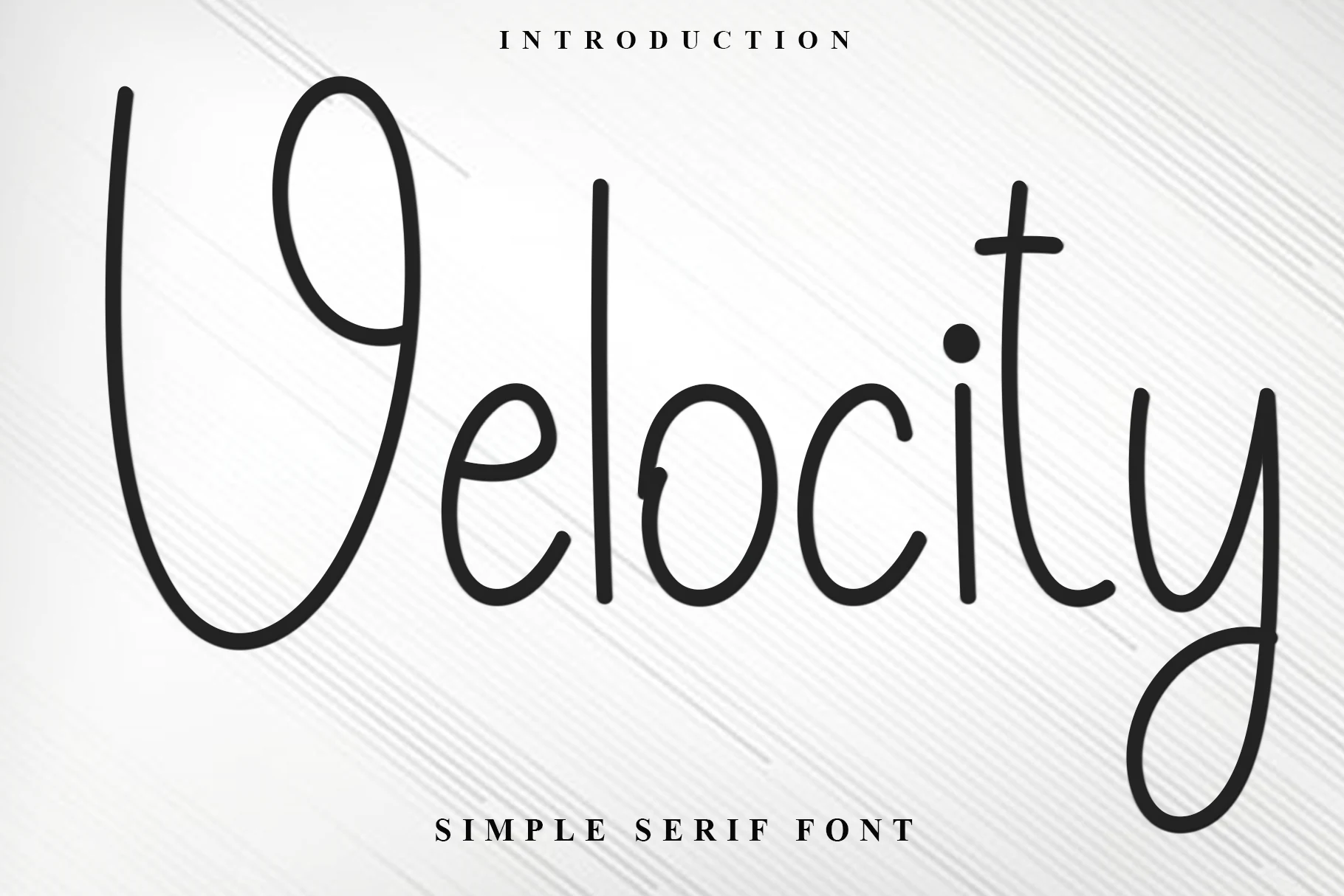 Velocity Font preview with thin black handwritten lettering, tall narrow strokes, and a looped descender