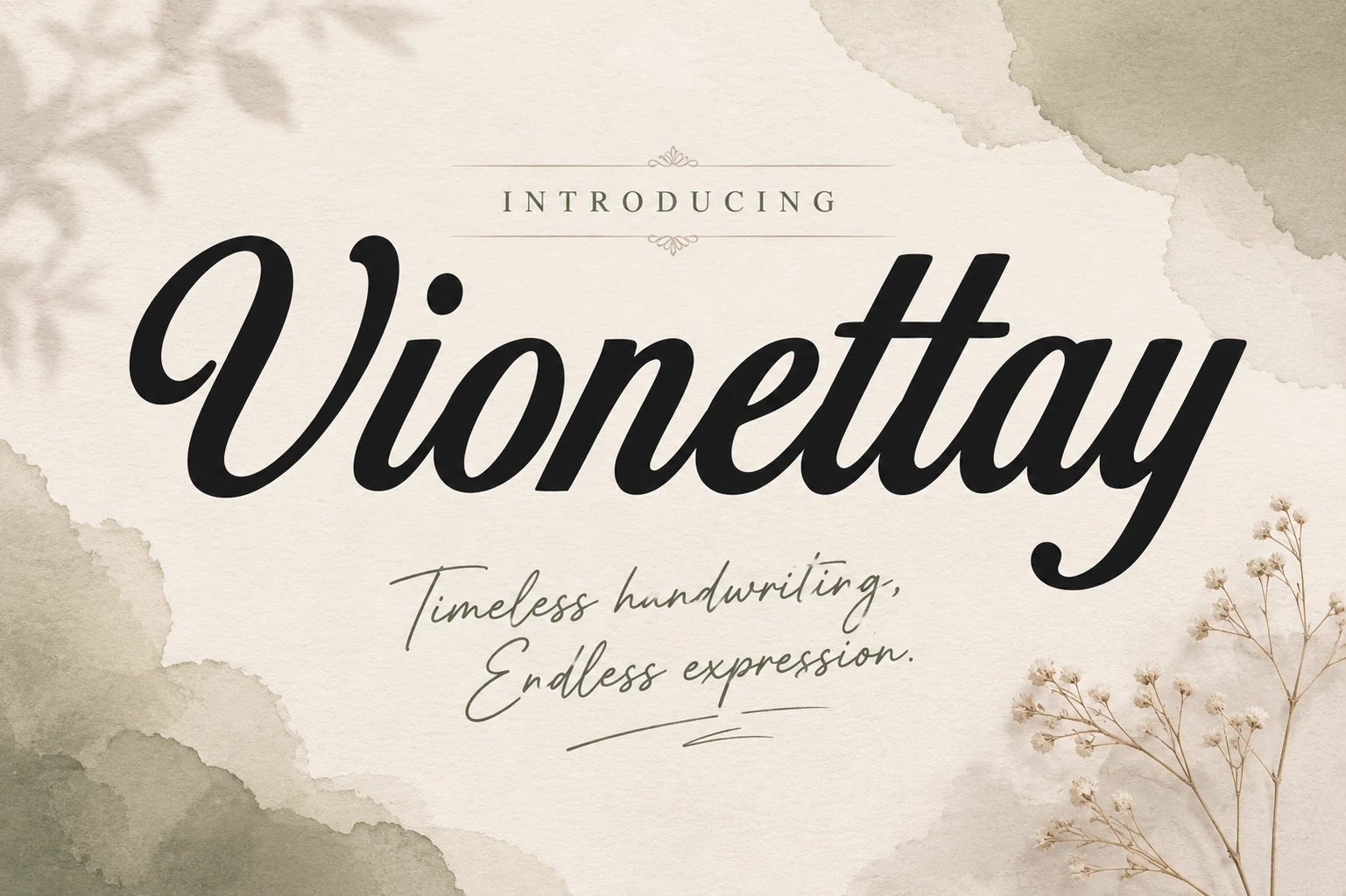 Vionettay Font preview in bold black script with smooth curves and elegant handwritten strokes
