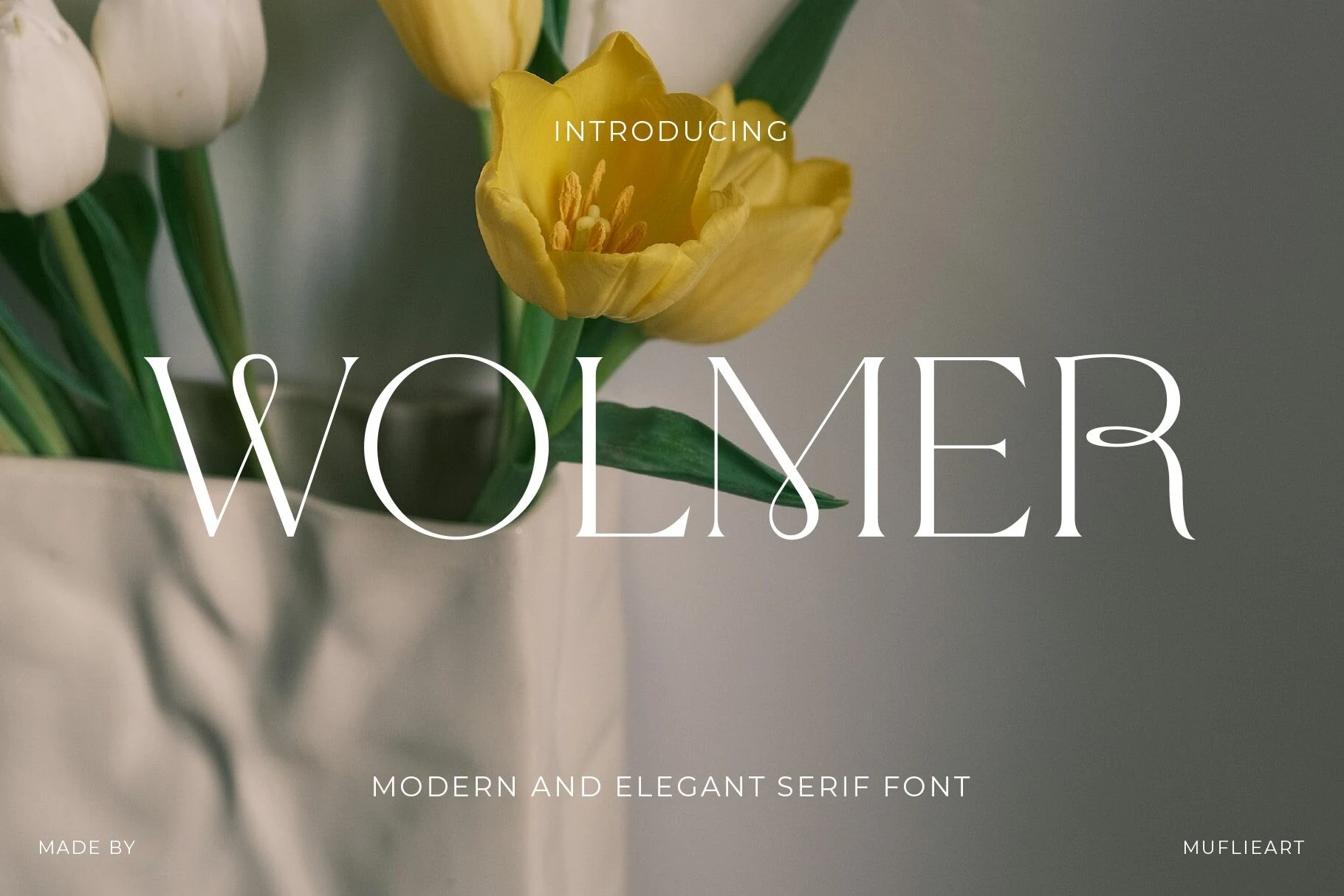 Wolmer Font preview with white high-contrast serif lettering and looped terminal details
