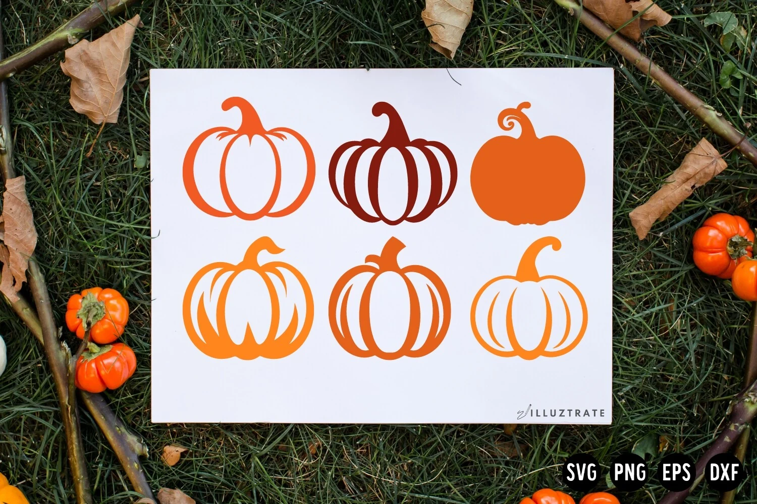 Halloween Pumpkin SVG Jack O' Lantern showing six distinct flat vector-style pumpkin illustrations arranged in a two-row grid, with solid orange silhouettes and outlined pumpkins featuring varied stems and ribbing.