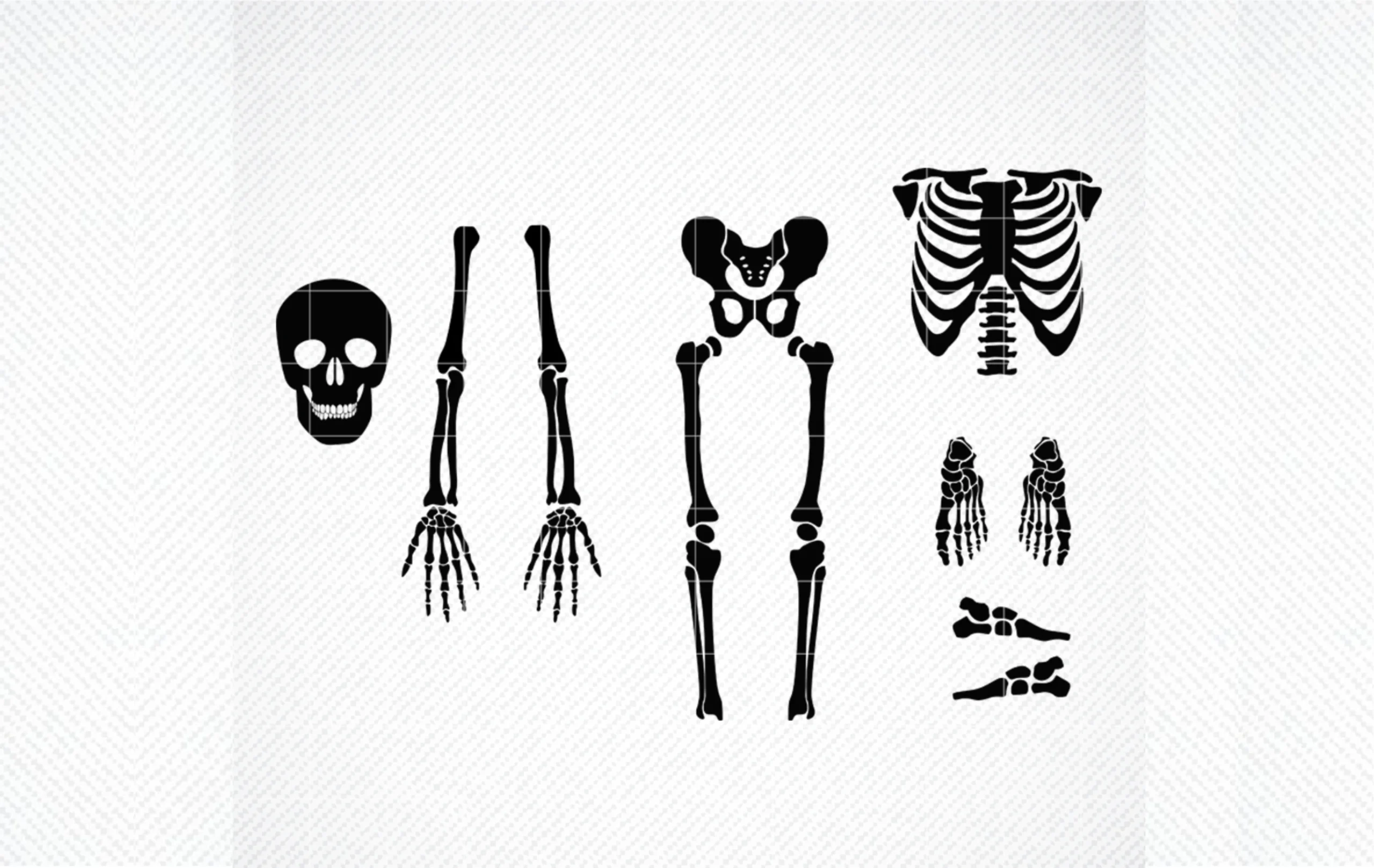 SKELETON PARTS SVG, Skeleton Svg, showing isolated black silhouette components including a skull, arms, hands, rib cage, pelvis, legs, and feet.
