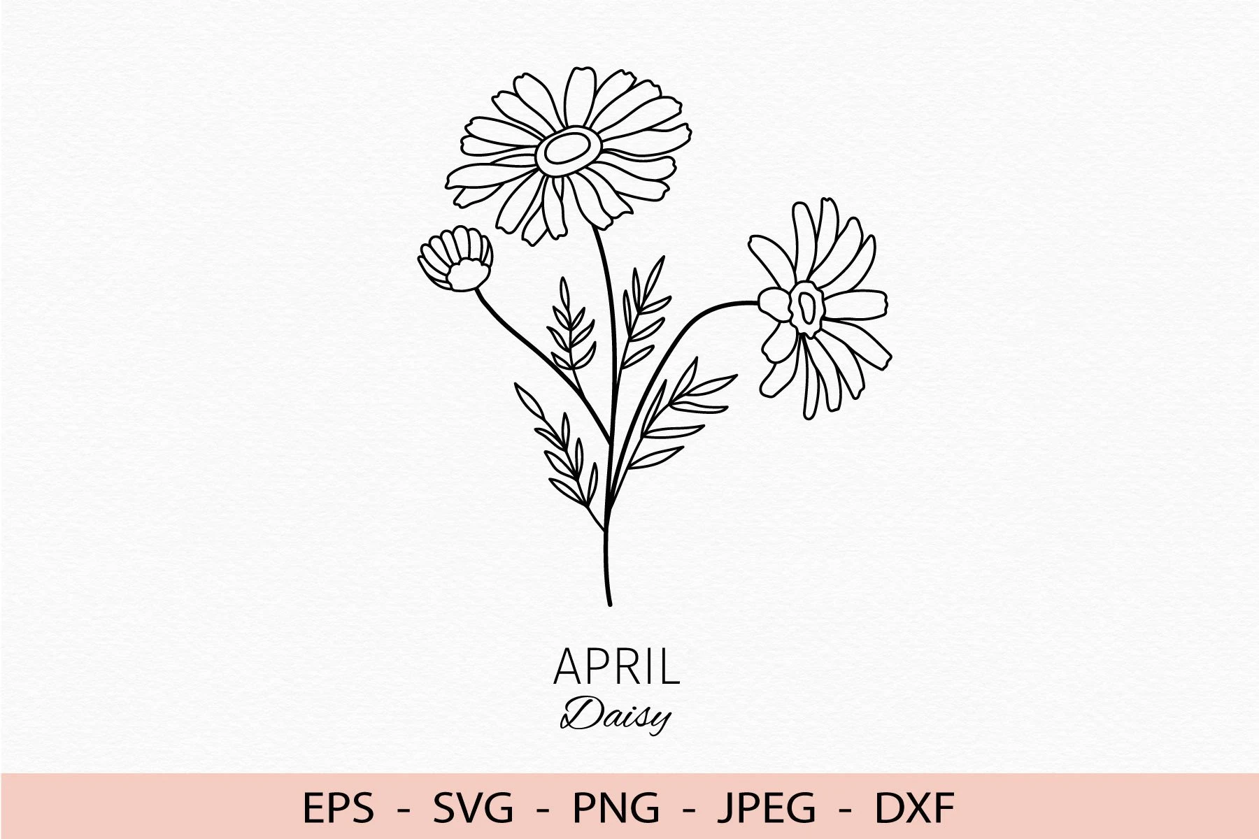 Birth Month Flower April Daisy Svg featuring daisy flower and daisy bud