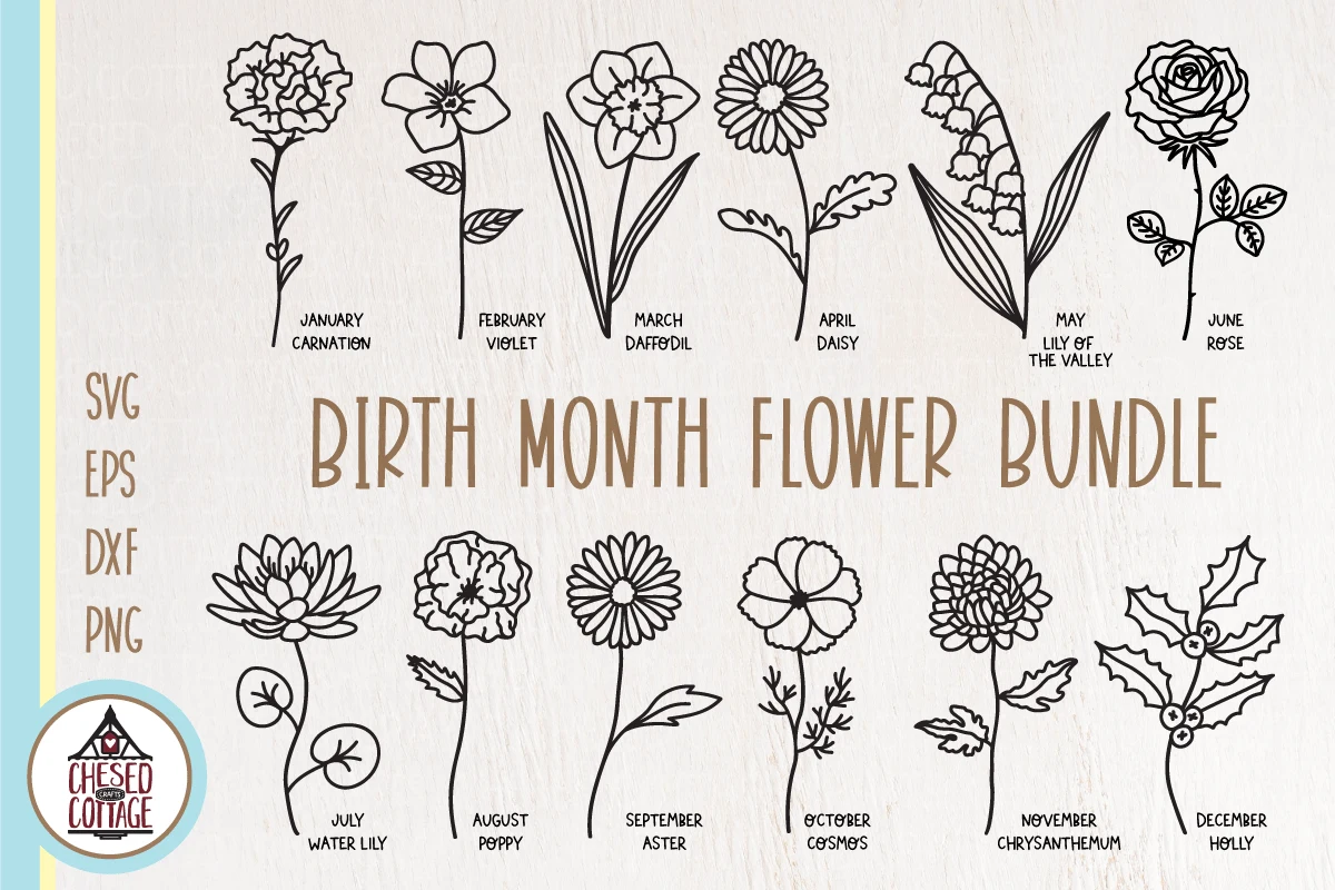 Birth Month Flower Bundle features twelve black and white hand-drawn botanical illustrations arranged in a grid, including a carnation, violet, daffodil, daisy, lily of the valley, rose, water lily, poppy, aster, cosmos, chrysanthemum, and holly, each with a text label.