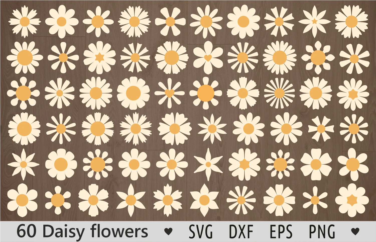 Daisy Flower Svg Wildflower Svg Daisies featuring daisies and flowers