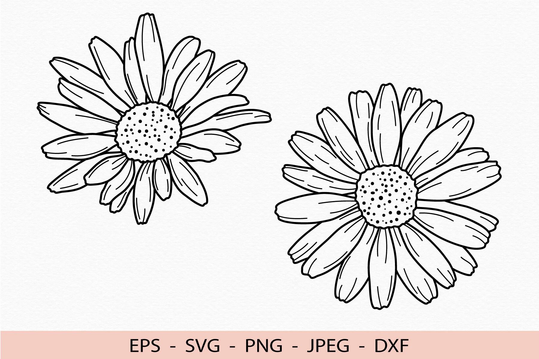 Daisy Svg Outline Flower File for Cricut featuring daisy flowers and line art
