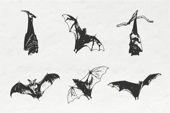 Halloween Bat Vintage Vector clipart design preview