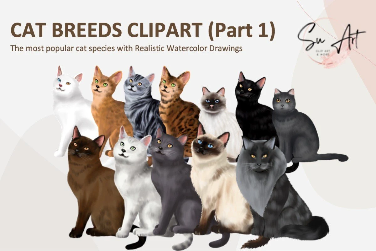 Halloween Cat Clipart Top 25 Cat Breeds preview showing cats with composition
