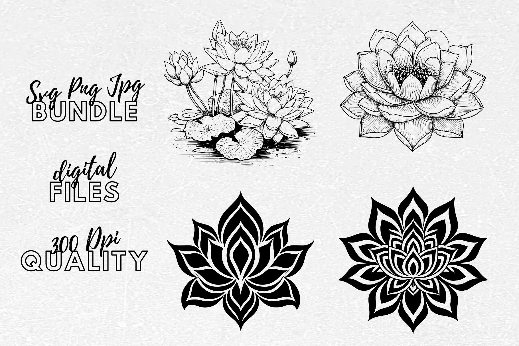 Lotus Flower SVG - Lotus Clipart featuring lotus flowers and lotus buds