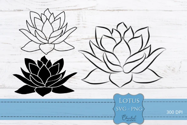 Lotus SVG - PNG includes three versions of a lotus flower: two black-and-white outline drawings and one solid black silhouette.