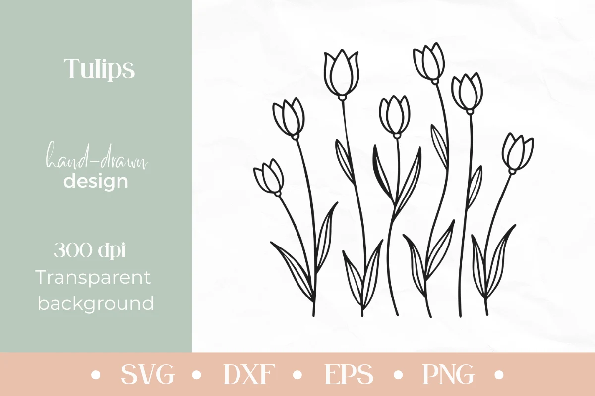 Minimalist Tulips Line Art SVG featuring tulips and flowers