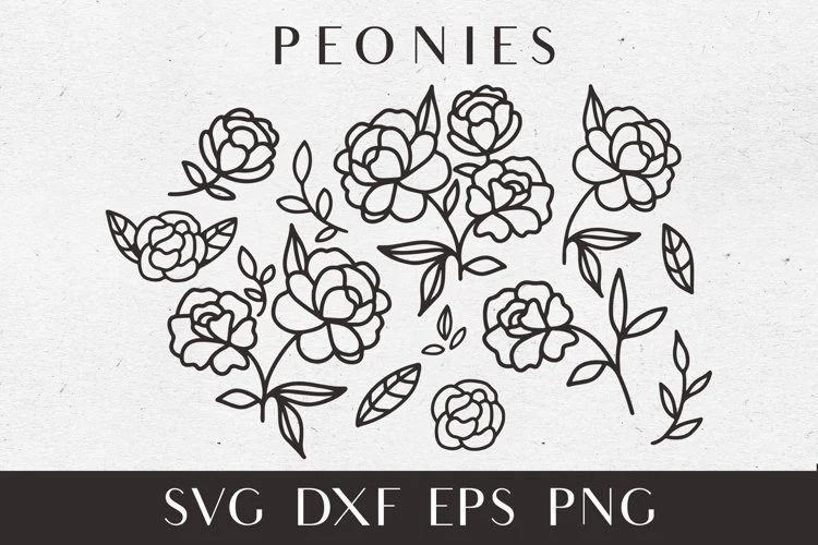 Peonies Svg Bundle, Peony Svg Flower Svg featuring peonies and floral buds