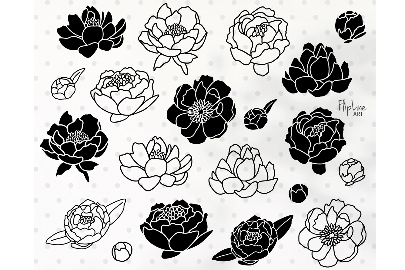 Peony Bundle SVG & PNG Clipart, Flower featuring peony flowers and peony buds