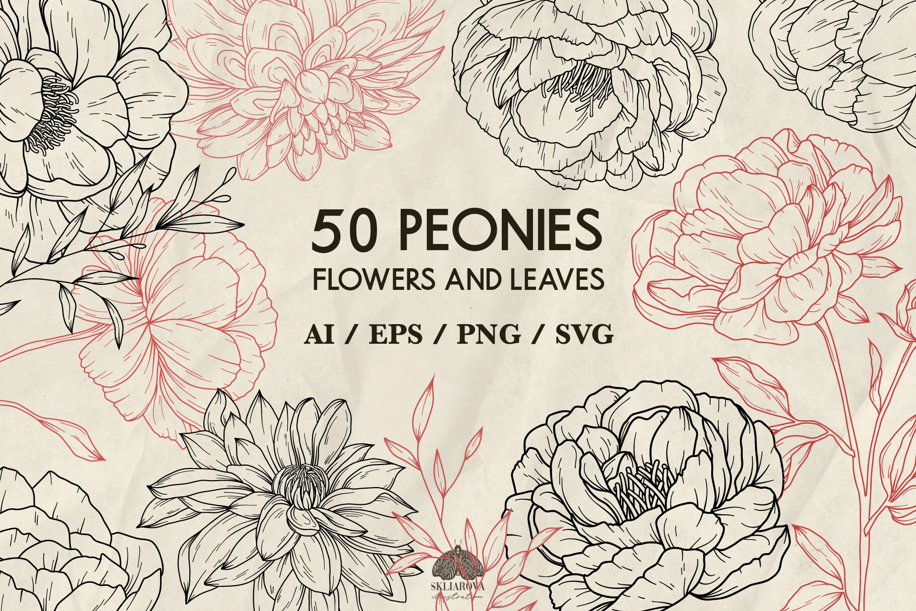 Peony Flowers Svg Png Eps featuring peonies and dahlias