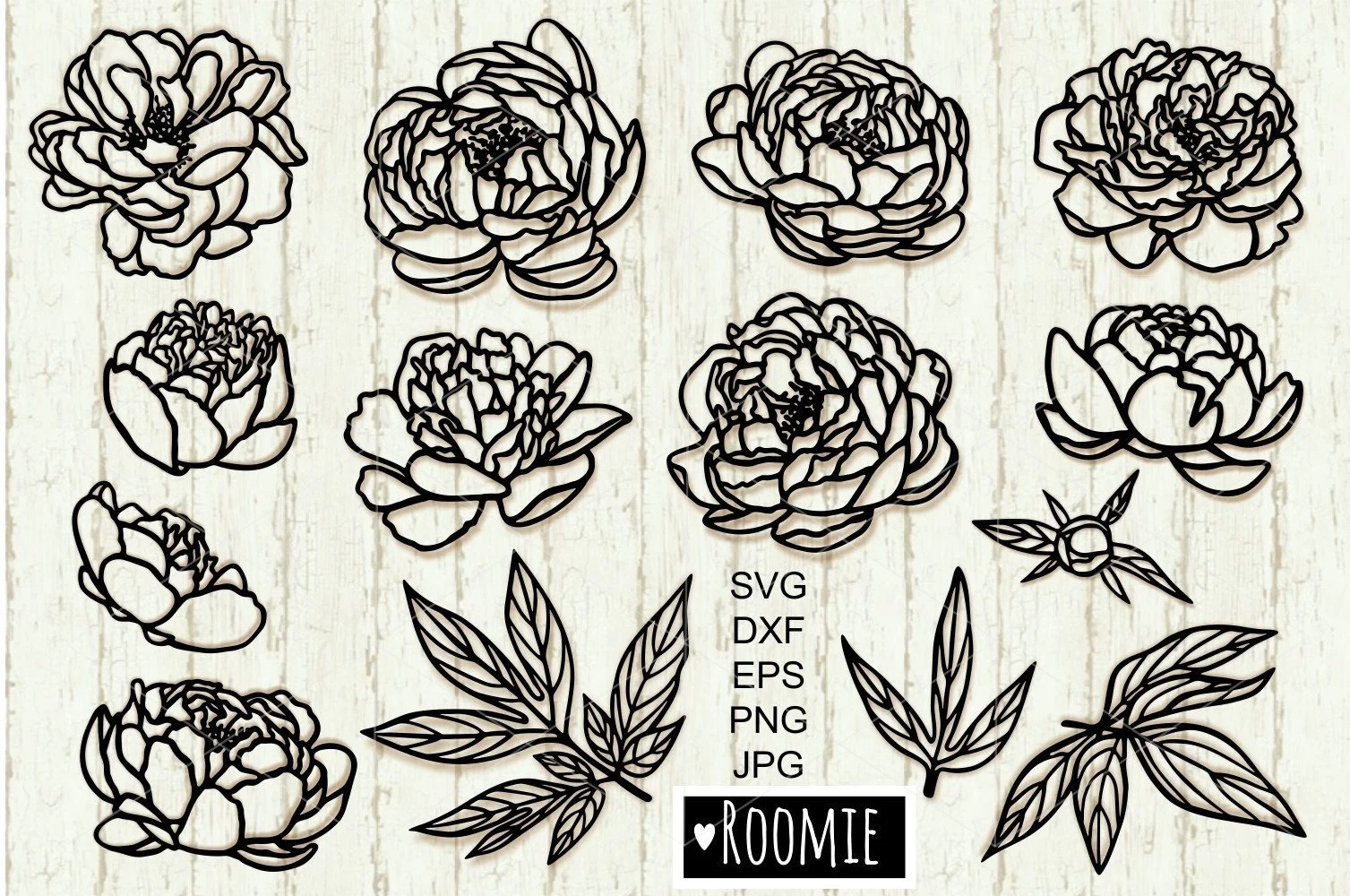 Peony Svg, Line Art Flowers Cut File SVG design preview