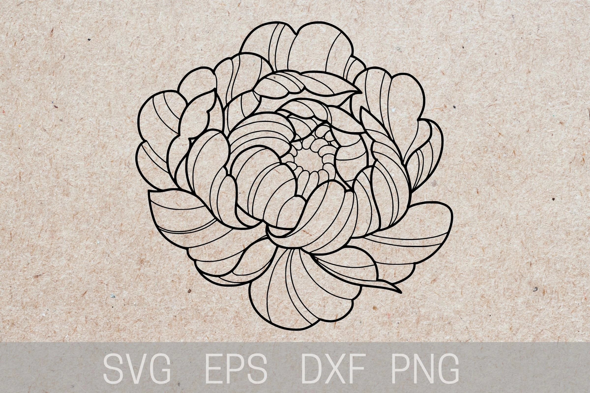 Peony Tattoo Stencil, Peony Tattoo SVG featuring peony flower and line art