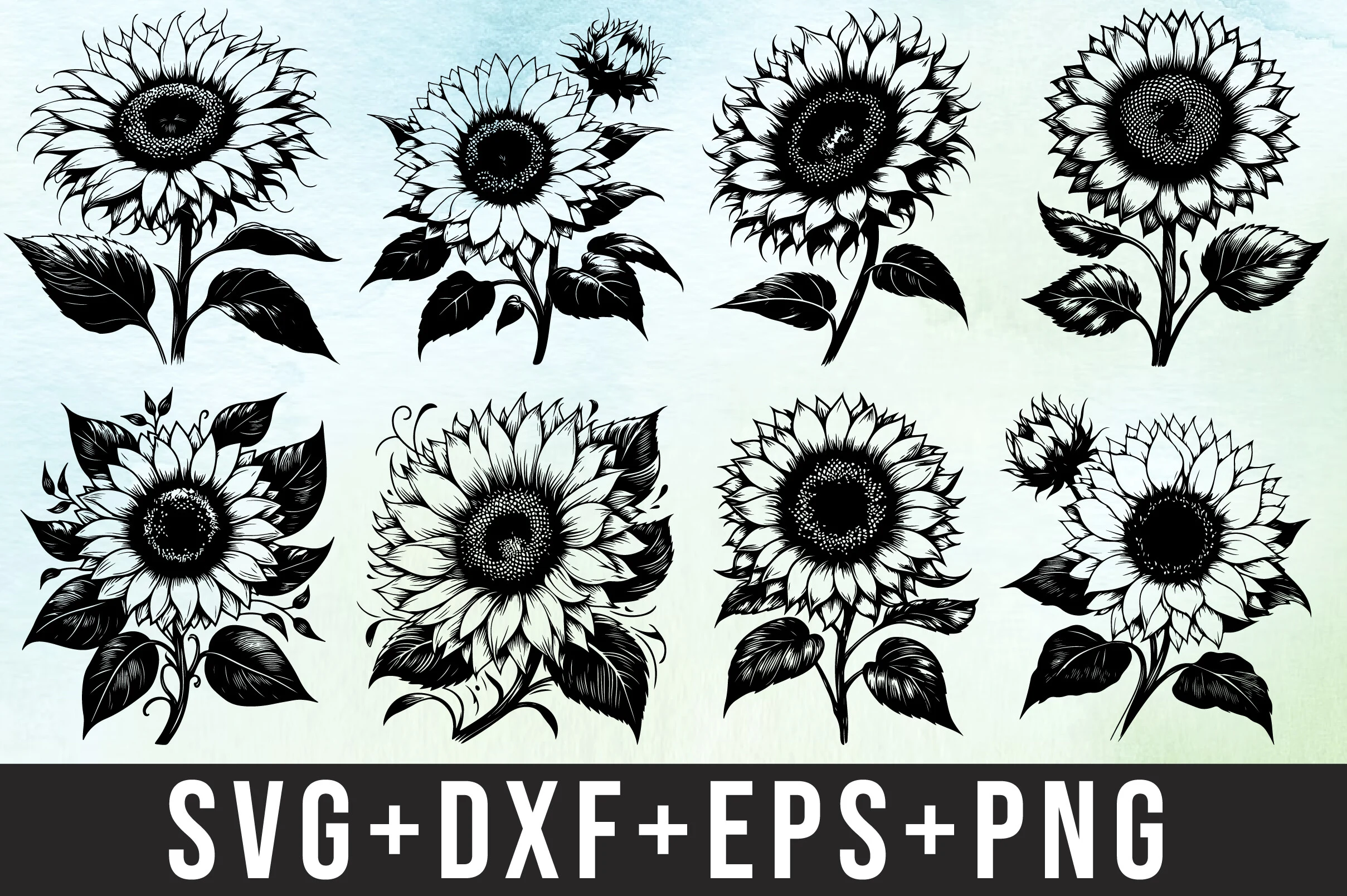 Sunflower Svg Bundle featuring sunflowers and sunflower buds