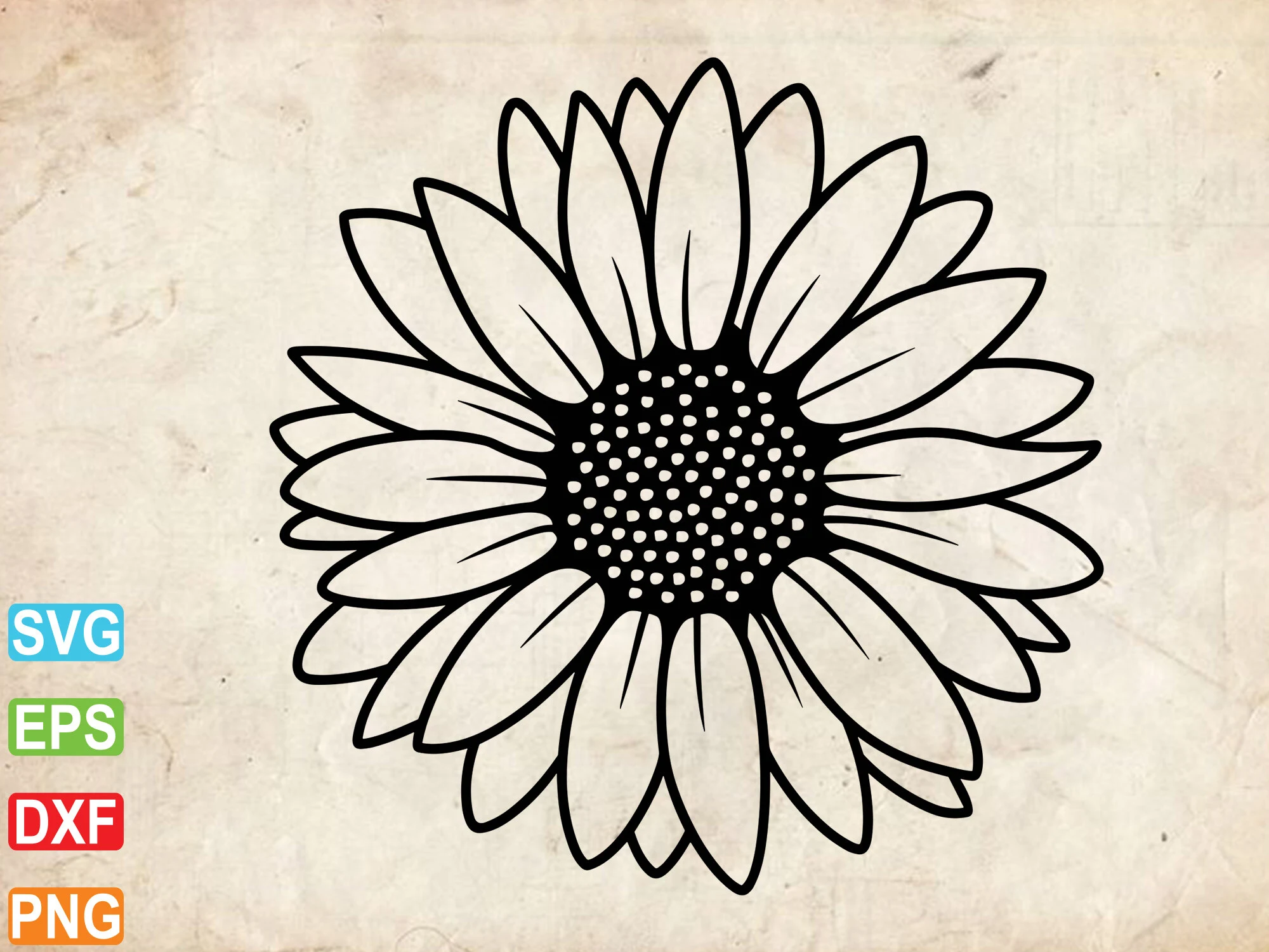 Sunflower Svg, Sunflowers Clipart featuring sunflower and outline style