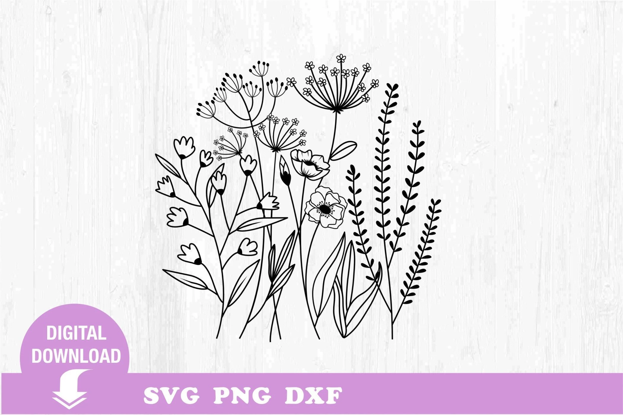 Wildflower. Minimalist Flower. Plant. featuring wildflowers and botanical stems