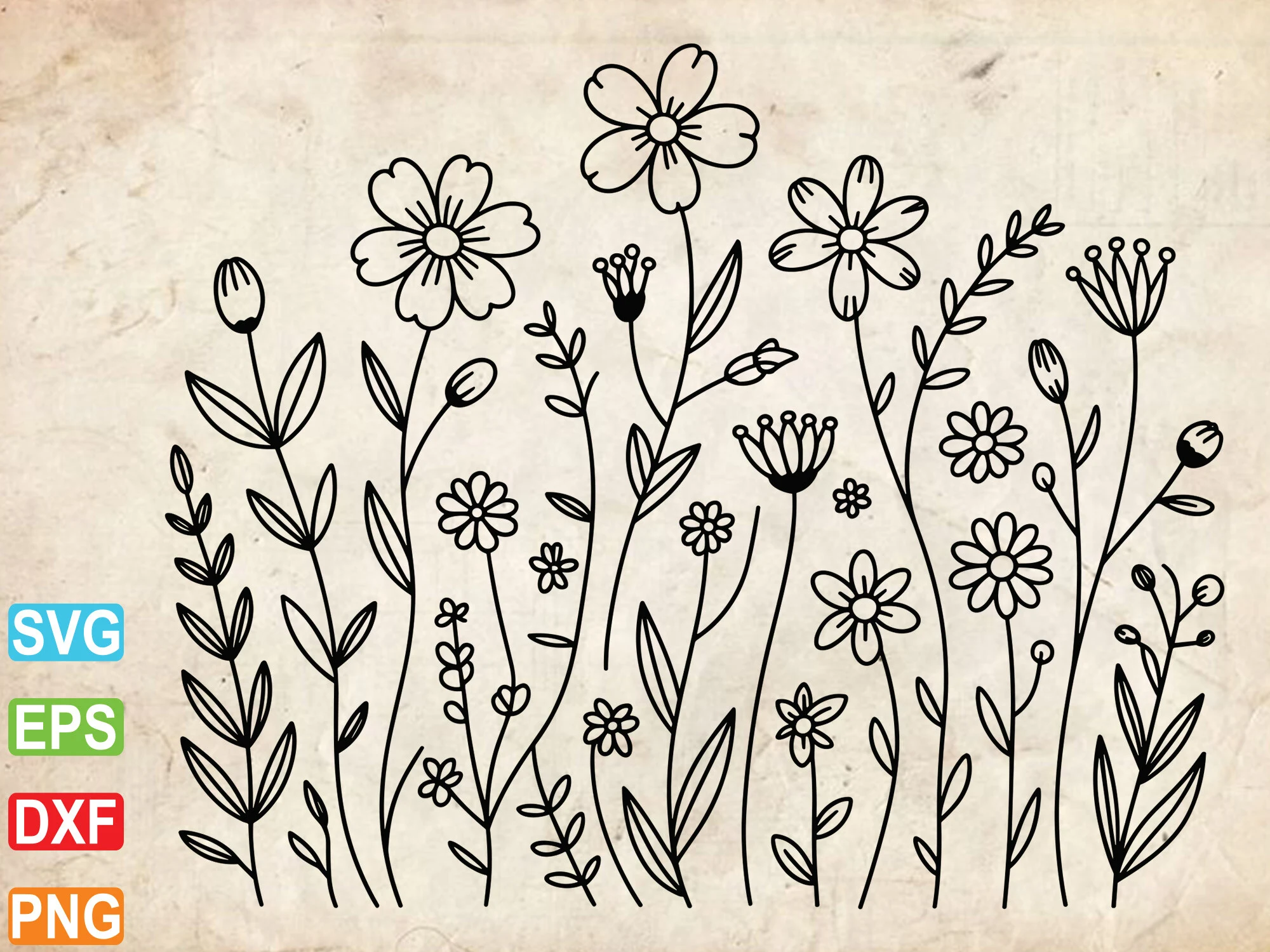 Wildflower SVG, Wildflowers Border Svg SVG design preview