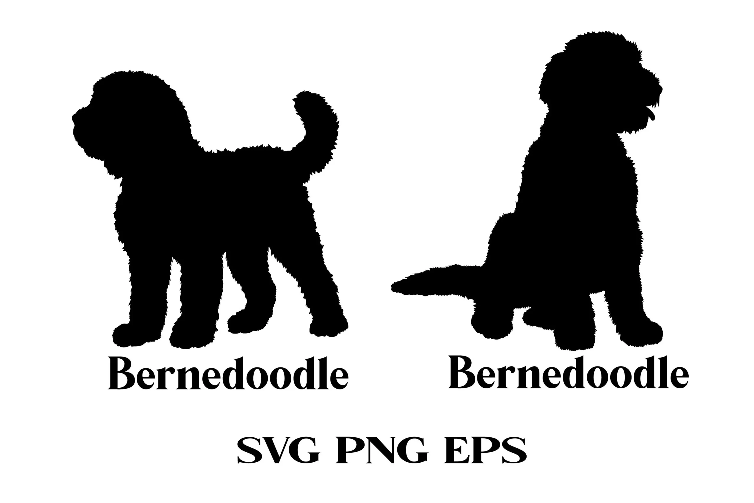 Bernedoodle Dog Silhouette SVG featuring dog and Bernedoodle