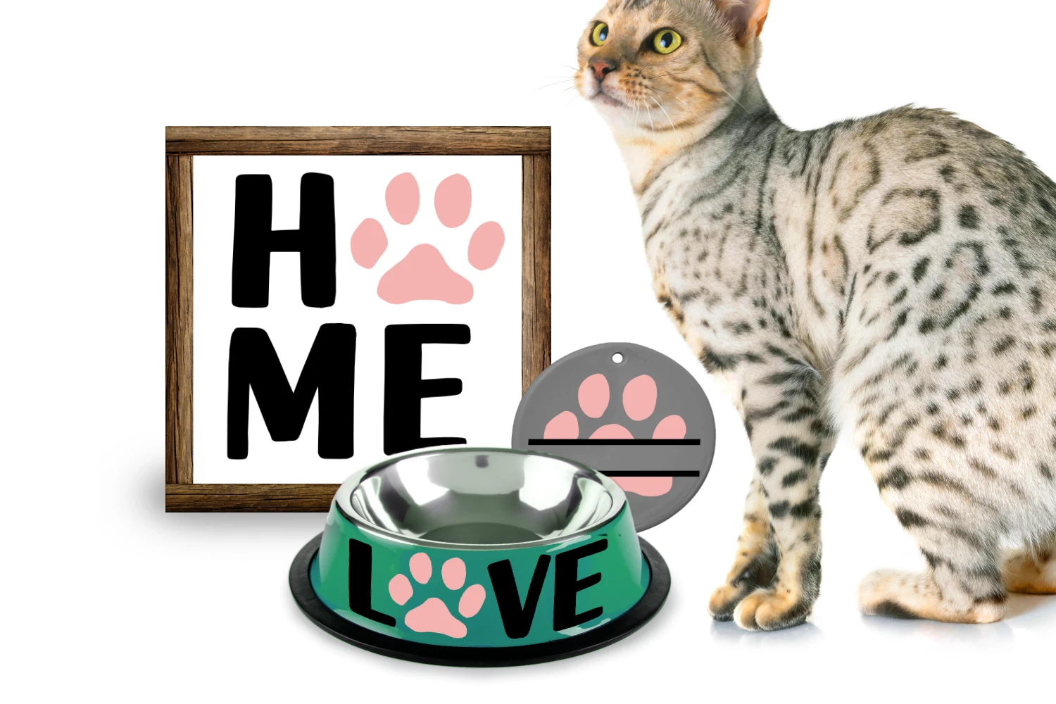 Cat Paw Print SVG Set featuring cat paw prints and square frame sign
