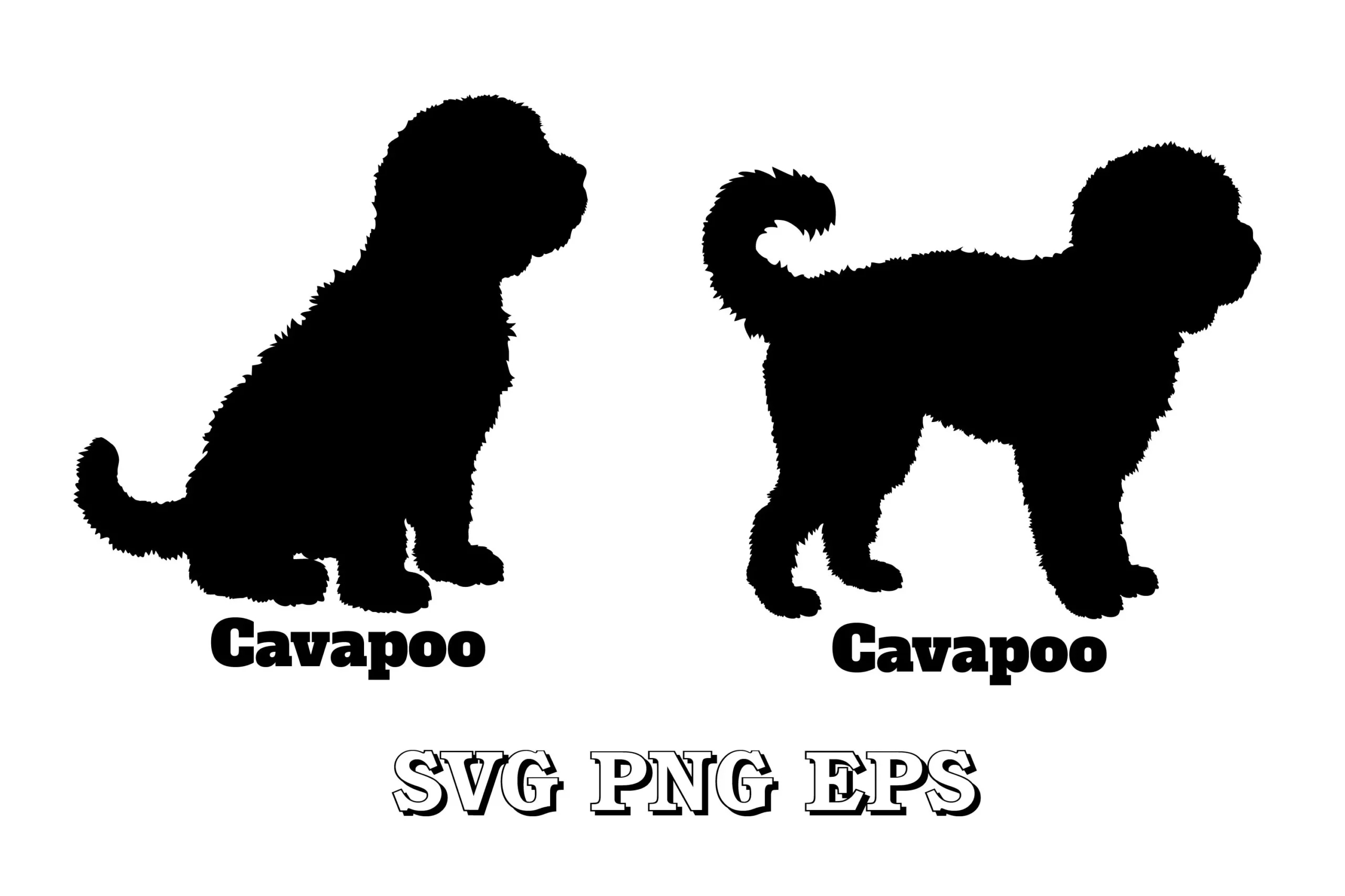 Cavapoo Dog Silhouette SVG featuring dog and Cavapoo