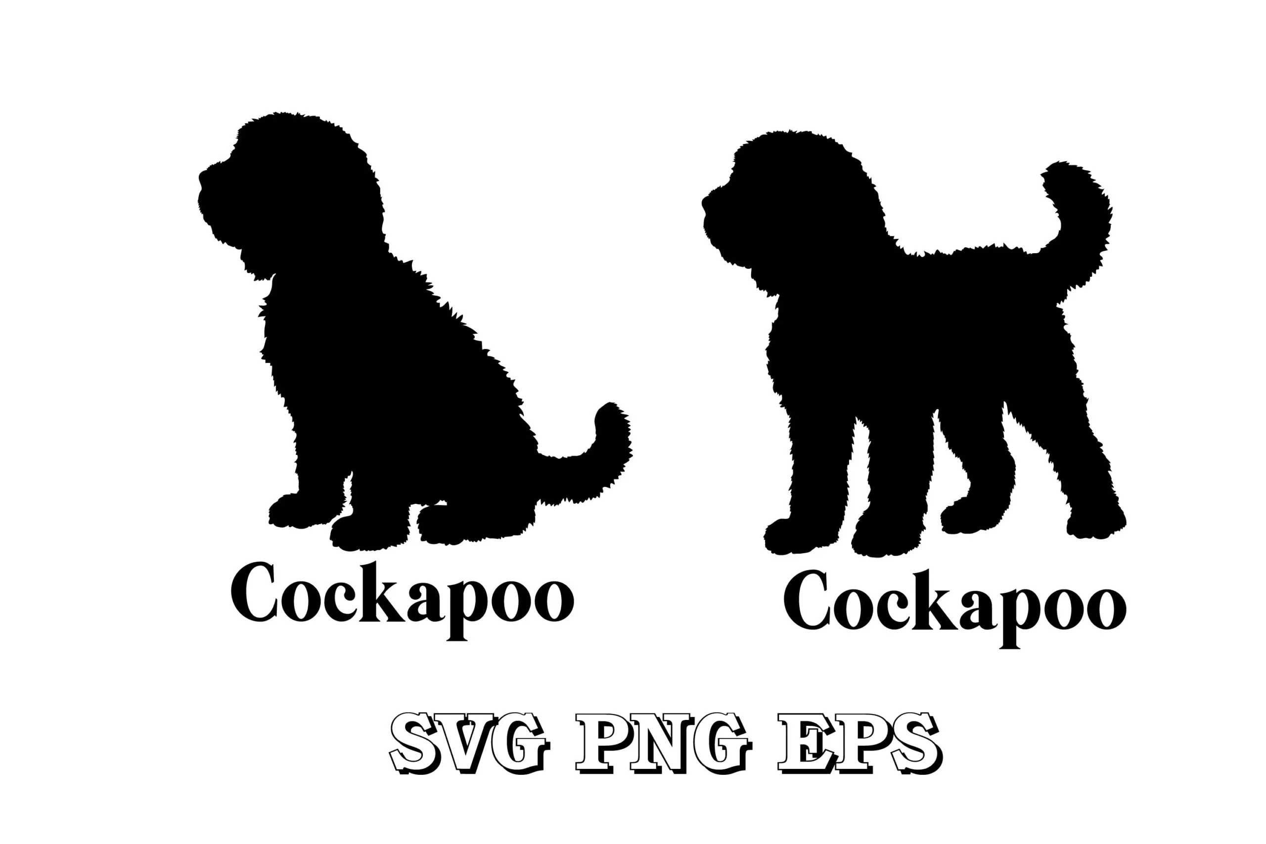 Cockapoo Dog Silhouette SVG Vector Breed featuring dog and Cockapoo