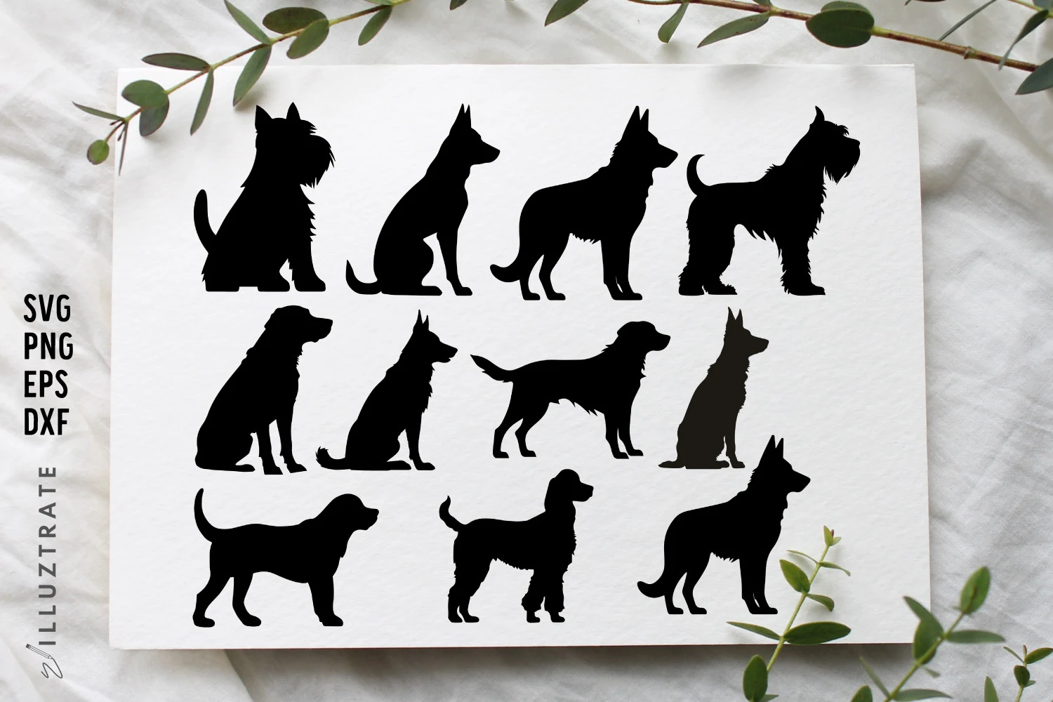 Dog Silhouette SVG Cut File | Dog Vector featuring dogs and dog silhouettes