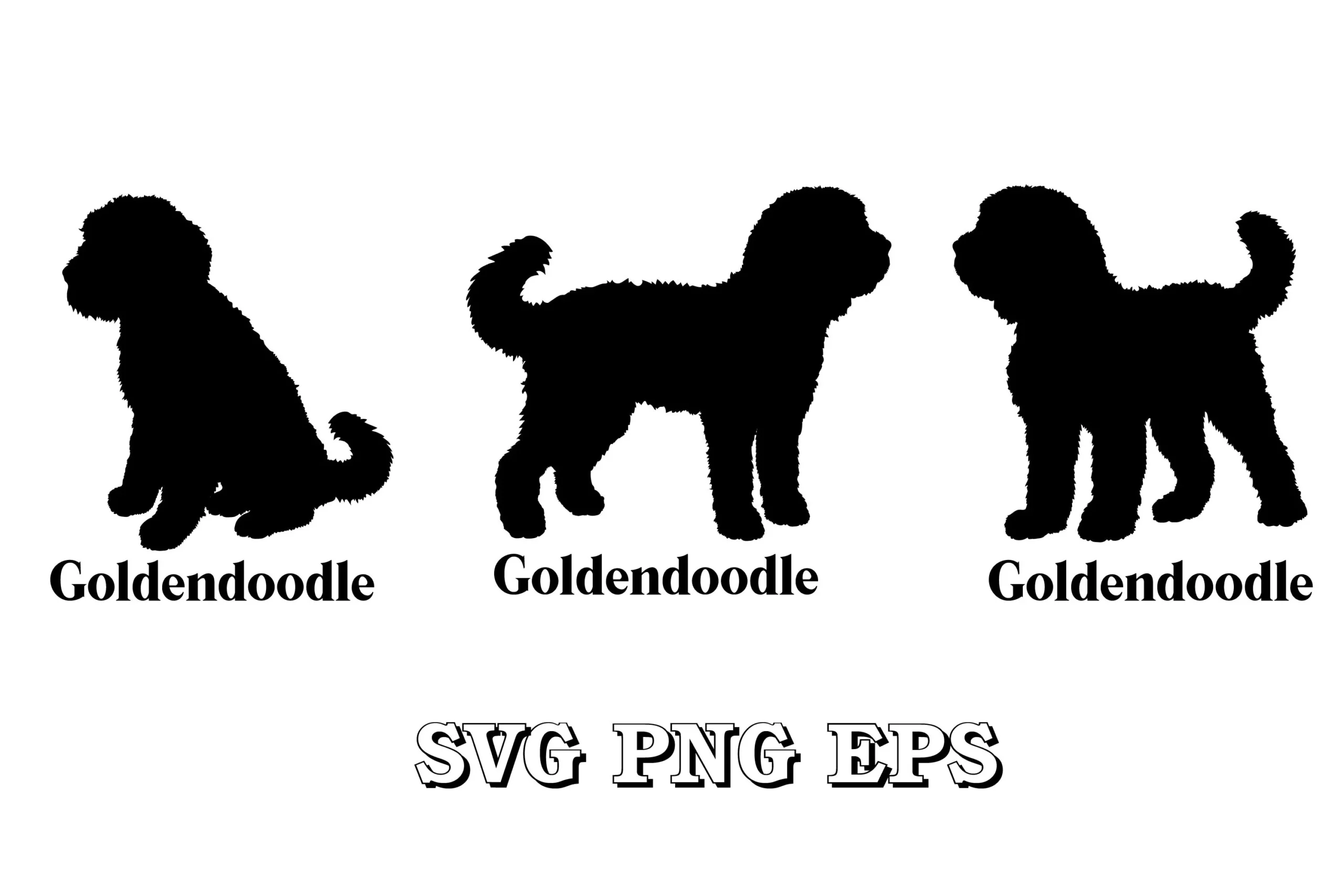Goldendoodle Dog Silhouette SVG SVG design preview