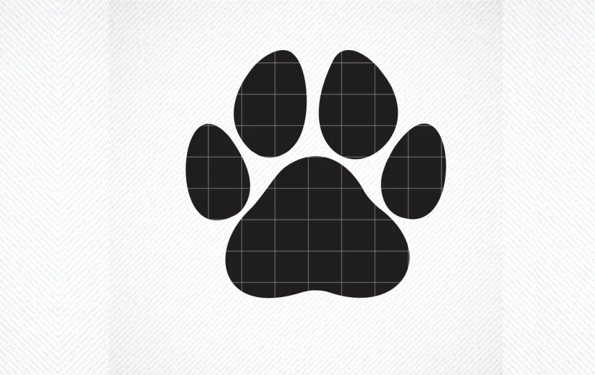 Pawprint SVG File, Instant Download SVG design preview
